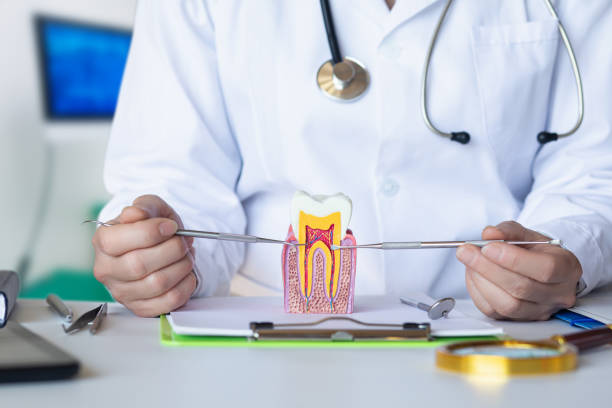 Best Knocked-Out Tooth (Avulsed Tooth) Treatment in Depoe Bay, OR